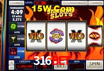 316bet - User Statistics